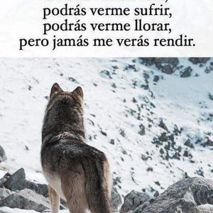 Meet your Posher, Teresa